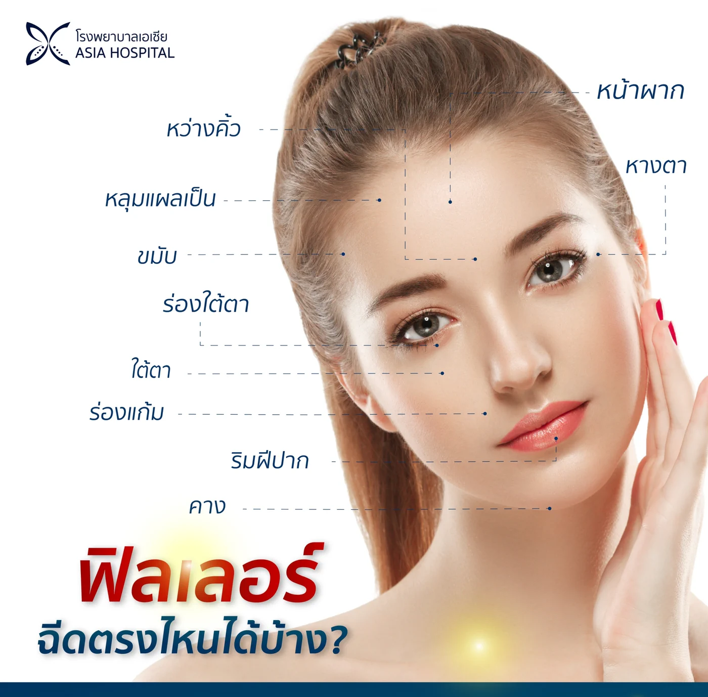 แผนภาพตำแหน่งที่ฉีดฟิลเลอร์ได้บนใบหน้า ได้แก่ หน้าผาก หว่างคิ้ว ขมับ หางตา หลุมแผลเป็น ร่องใต้ตา ใต้ตา ร่องแก้ม ริมฝีปาก และคาง